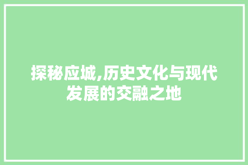 探秘应城,历史文化与现代发展的交融之地