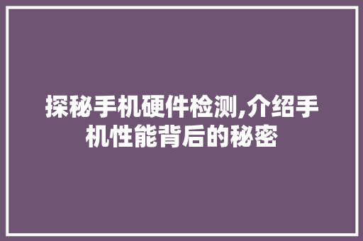 探秘手机硬件检测,介绍手机性能背后的秘密