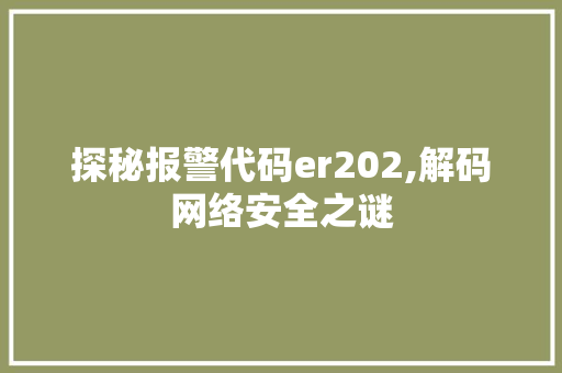 探秘报警代码er202,解码网络安全之谜