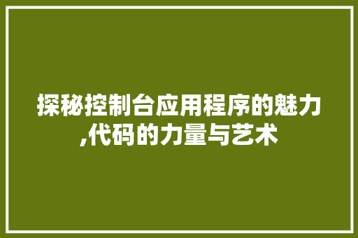 探秘控制台应用程序的魅力,代码的力量与艺术