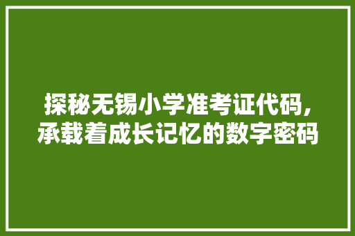 探秘无锡小学准考证代码,承载着成长记忆的数字密码