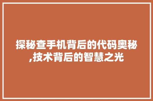 探秘查手机背后的代码奥秘,技术背后的智慧之光