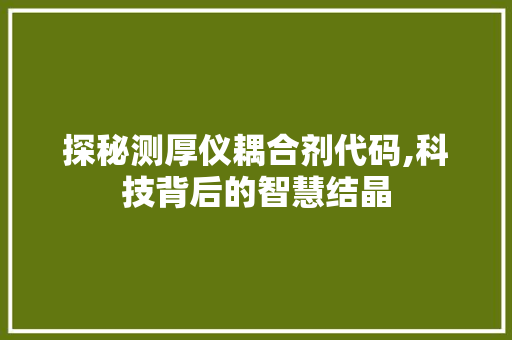 探秘测厚仪耦合剂代码,科技背后的智慧结晶