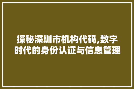 探秘深圳市机构代码,数字时代的身份认证与信息管理