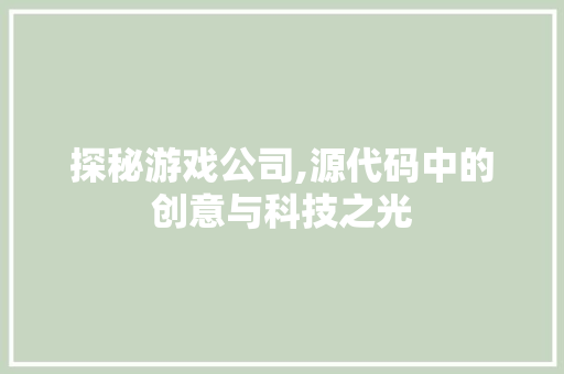 探秘游戏公司,源代码中的创意与科技之光