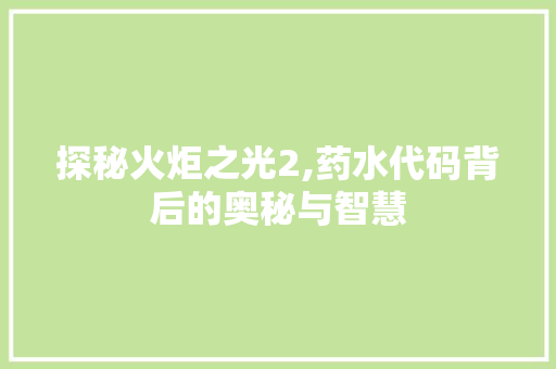 探秘火炬之光2,药水代码背后的奥秘与智慧