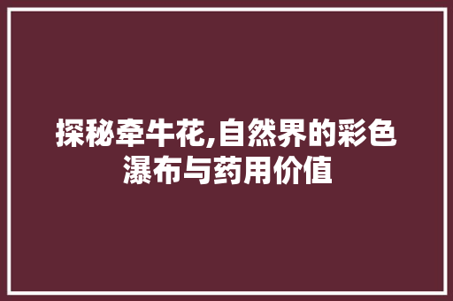 探秘牵牛花,自然界的彩色瀑布与药用价值 PHP