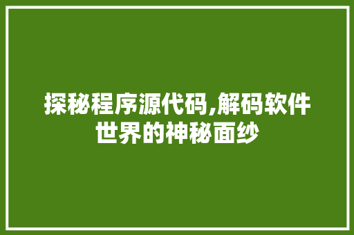 探秘程序源代码,解码软件世界的神秘面纱