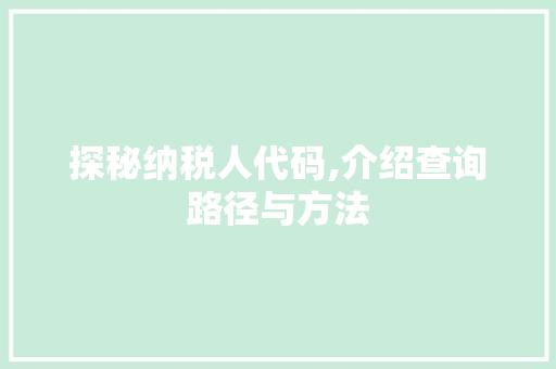 探秘纳税人代码,介绍查询路径与方法