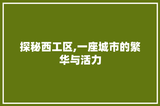 探秘西工区,一座城市的繁华与活力