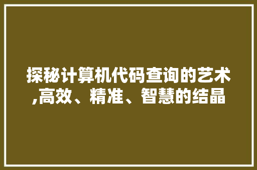 探秘计算机代码查询的艺术,高效、精准、智慧的结晶 Docker