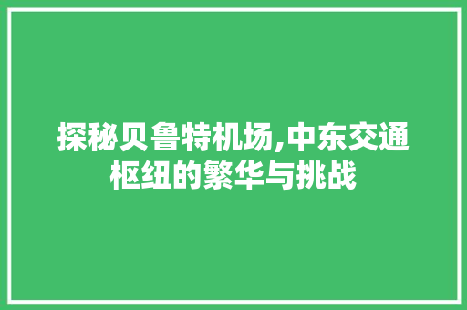 探秘贝鲁特机场,中东交通枢纽的繁华与挑战