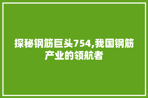 探秘钢筋巨头754,我国钢筋产业的领航者