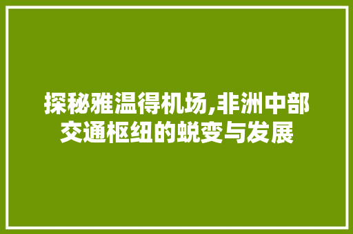 探秘雅温得机场,非洲中部交通枢纽的蜕变与发展 CSS