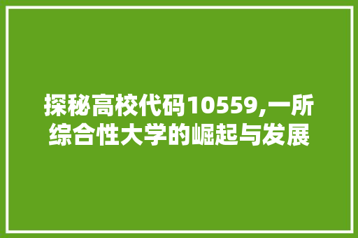 探秘高校代码10559,一所综合性大学的崛起与发展