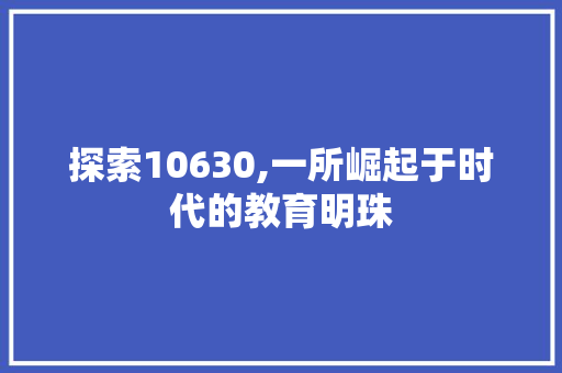 探索10630,一所崛起于时代的教育明珠