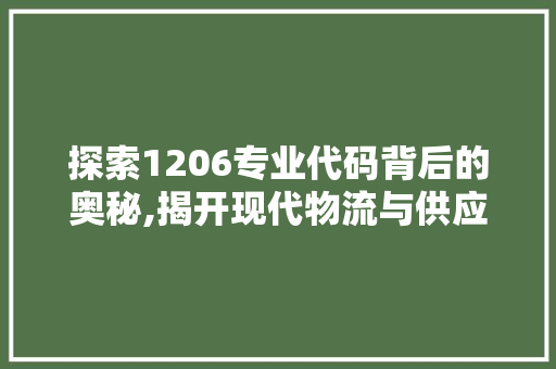 探索1206专业代码背后的奥秘,揭开现代物流与供应链管理之面纱