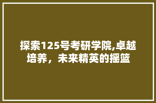 探索125号考研学院,卓越培养，未来精英的摇篮