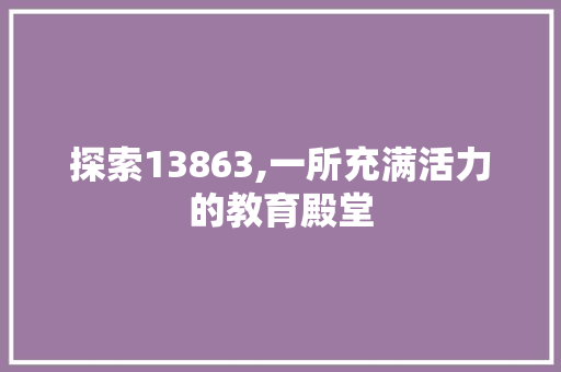 探索13863,一所充满活力的教育殿堂 Python