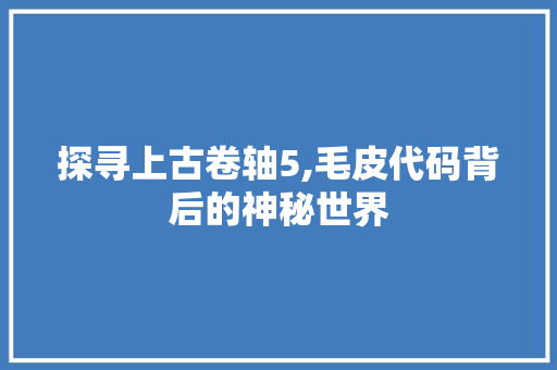 探寻上古卷轴5,毛皮代码背后的神秘世界 SQL