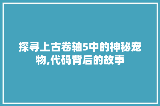 探寻上古卷轴5中的神秘宠物,代码背后的故事 Node.js