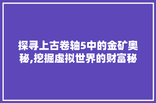 探寻上古卷轴5中的金矿奥秘,挖掘虚拟世界的财富秘密