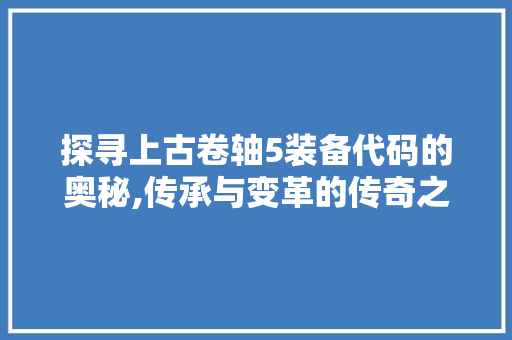 探寻上古卷轴5装备代码的奥秘,传承与变革的传奇之旅