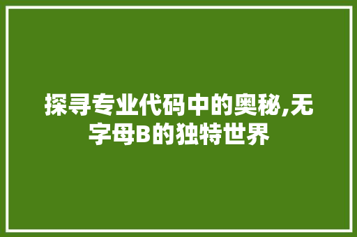 探寻专业代码中的奥秘,无字母B的独特世界