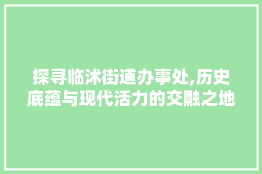 探寻临沭街道办事处,历史底蕴与现代活力的交融之地 SQL