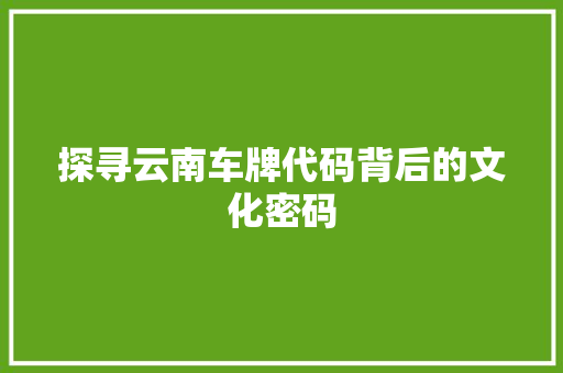 探寻云南车牌代码背后的文化密码 GraphQL