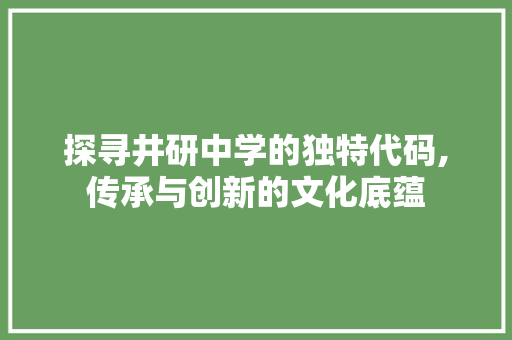 探寻井研中学的独特代码,传承与创新的文化底蕴 JavaScript