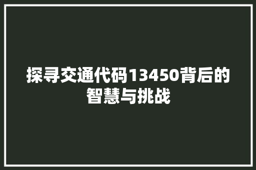 探寻交通代码13450背后的智慧与挑战