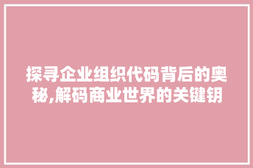 探寻企业组织代码背后的奥秘,解码商业世界的关键钥匙 RESTful API