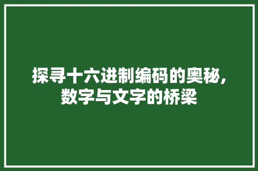 探寻十六进制编码的奥秘,数字与文字的桥梁 Webpack