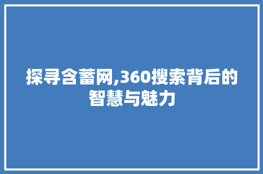 探寻含蓄网,360搜索背后的智慧与魅力