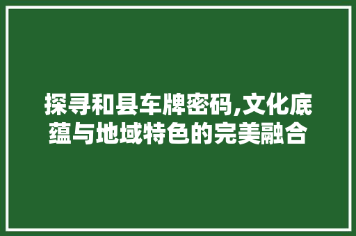 探寻和县车牌密码,文化底蕴与地域特色的完美融合