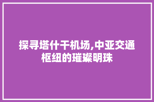 探寻塔什干机场,中亚交通枢纽的璀璨明珠