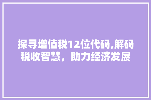 探寻增值税12位代码,解码税收智慧，助力经济发展