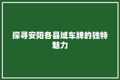 探寻安阳各县域车牌的独特魅力