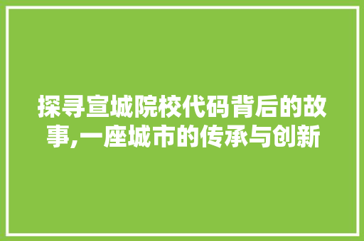 探寻宣城院校代码背后的故事,一座城市的传承与创新