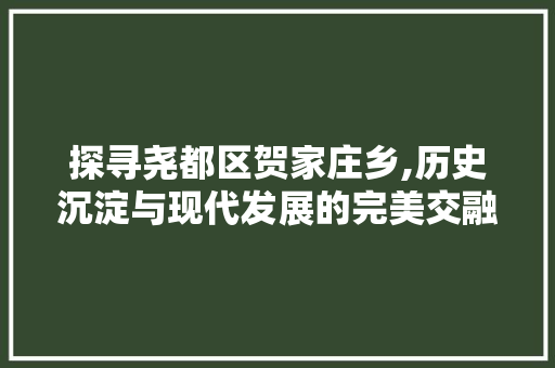 探寻尧都区贺家庄乡,历史沉淀与现代发展的完美交融