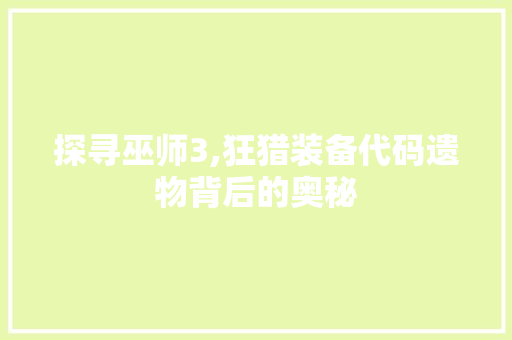 探寻巫师3,狂猎装备代码遗物背后的奥秘