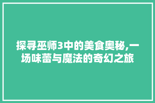 探寻巫师3中的美食奥秘,一场味蕾与魔法的奇幻之旅