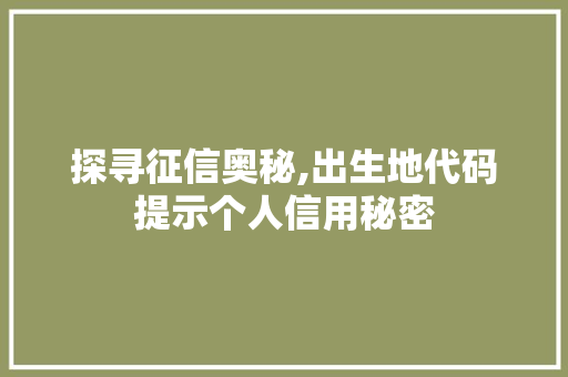 探寻征信奥秘,出生地代码提示个人信用秘密