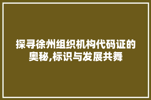 探寻徐州组织机构代码证的奥秘,标识与发展共舞