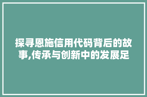 探寻恩施信用代码背后的故事,传承与创新中的发展足迹