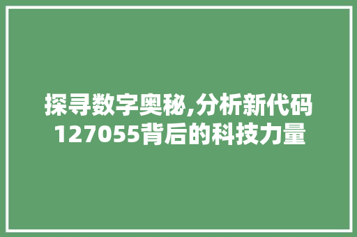 探寻数字奥秘,分析新代码127055背后的科技力量