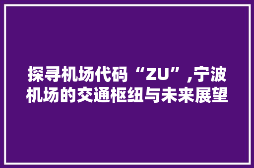 探寻机场代码“ZU”,宁波机场的交通枢纽与未来展望