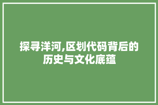 探寻洋河,区划代码背后的历史与文化底蕴