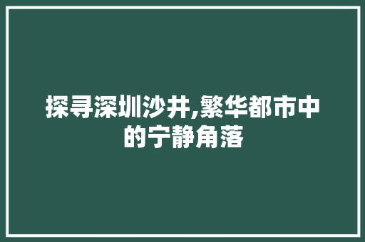 探寻深圳沙井,繁华都市中的宁静角落